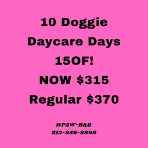 10-day Daycare Package