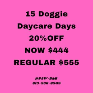 15-day Daycare Package