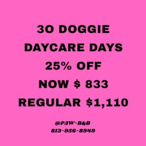 30-day Daycare Package