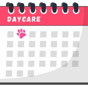 Single Day Daycare