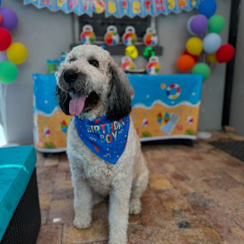 birthday1