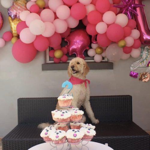 birthday2